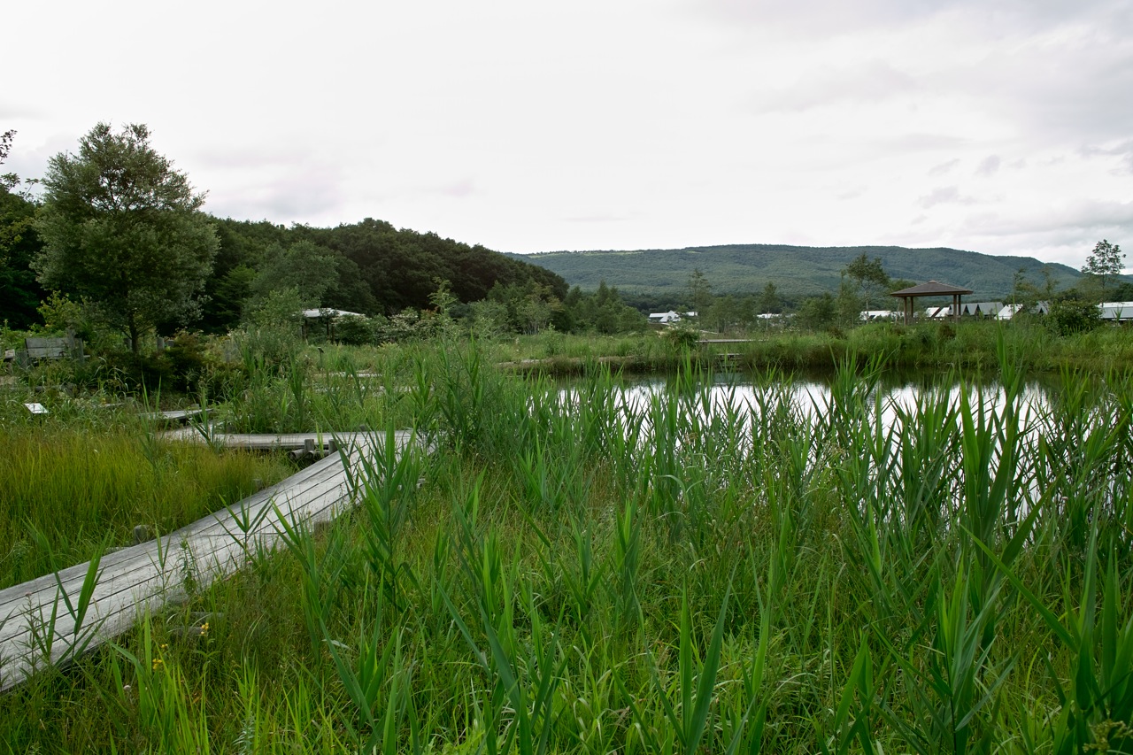 b0137311_2146189.jpg