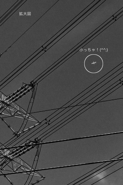 e0117517_2230197.jpg