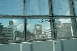 b0167519_971835.jpg