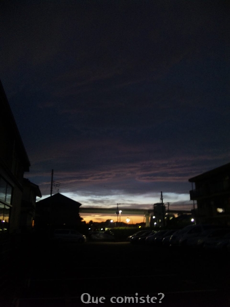 f0194020_1595273.jpg