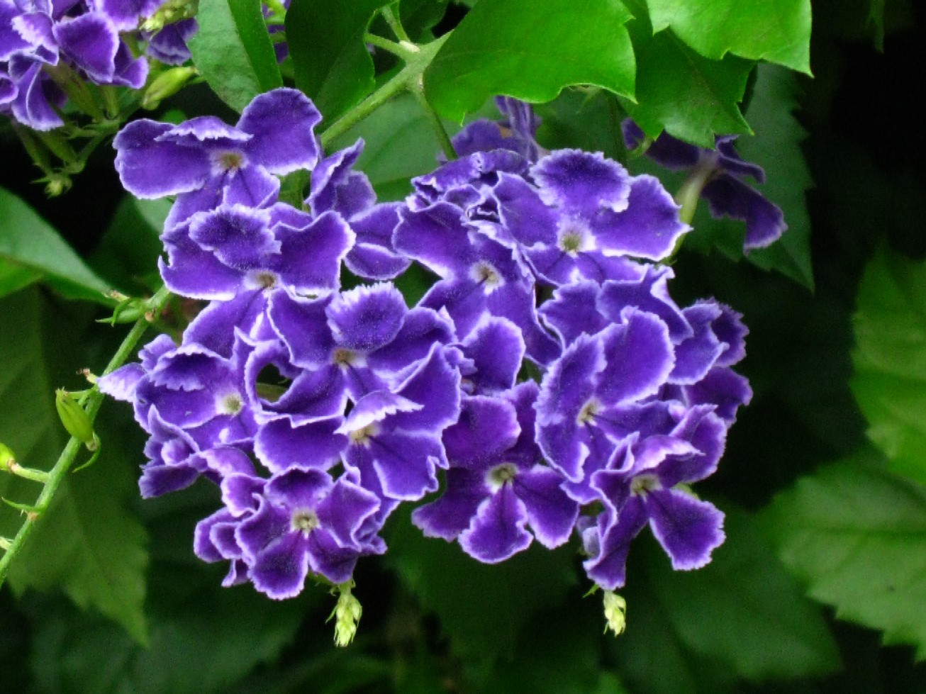 d0044222_22143664.jpg