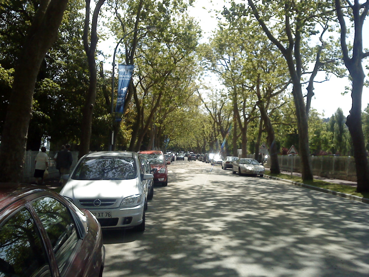 b0169024_6245661.jpg