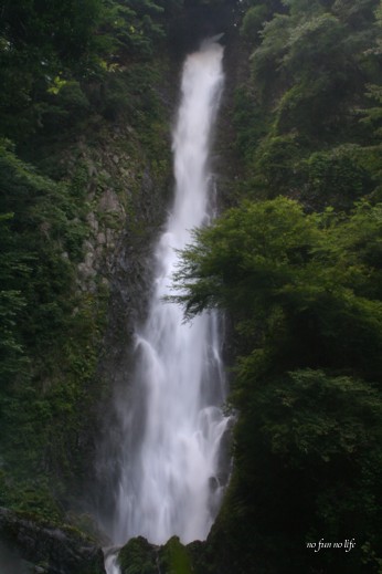 d0145428_0204546.jpg