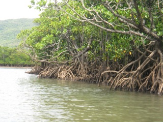 f0098728_15535874.jpg