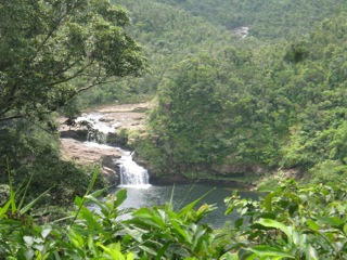 f0098728_16111735.jpg