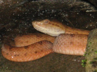 f0098728_16115755.jpg