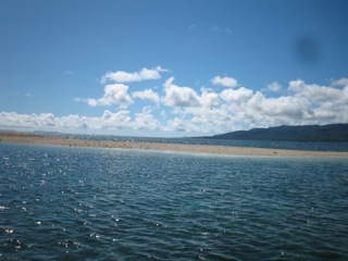 f0098728_1882588.jpg