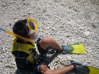 f0098728_1884454.jpg