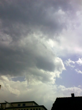 a0128333_5572066.jpg
