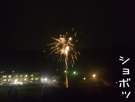 e0008833_911152.jpg