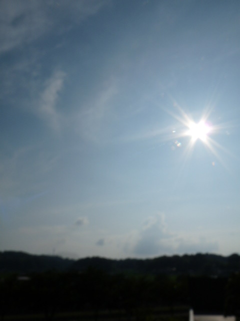c0100534_1763952.jpg