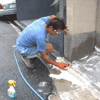 d0033734_1125080.gif