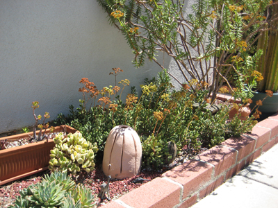 c0137235_505861.jpg