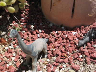 c0137235_512818.jpg