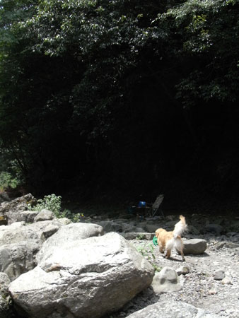 b0056138_19492574.jpg
