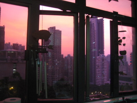 e0018143_4454490.jpg