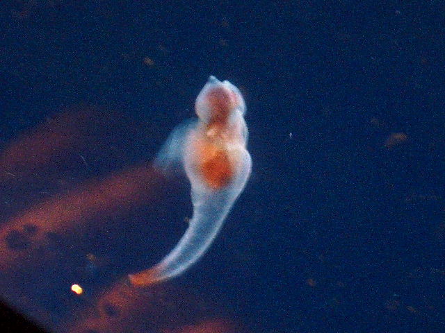 b0163750_21445085.jpg