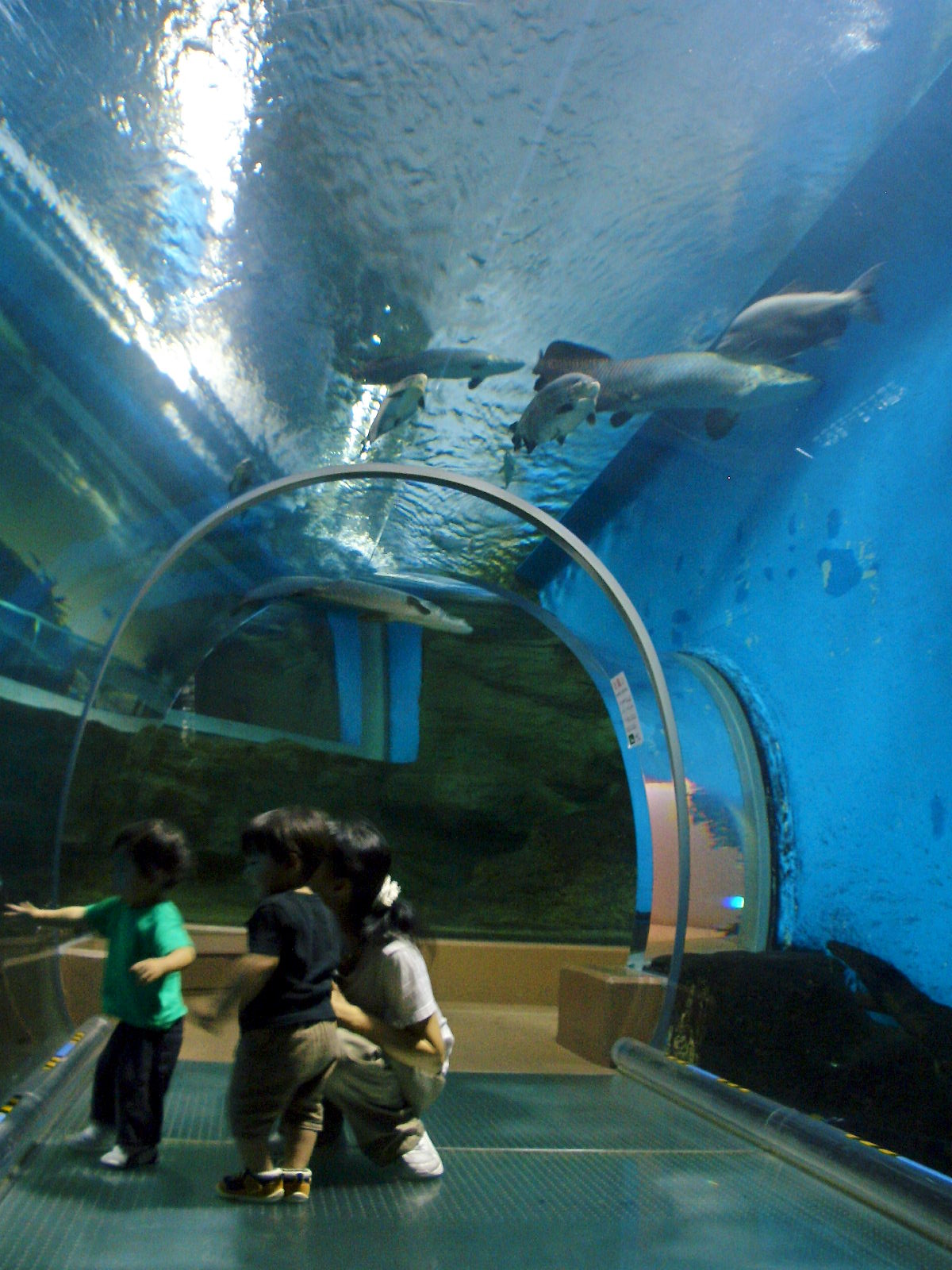 b0163750_21475871.jpg