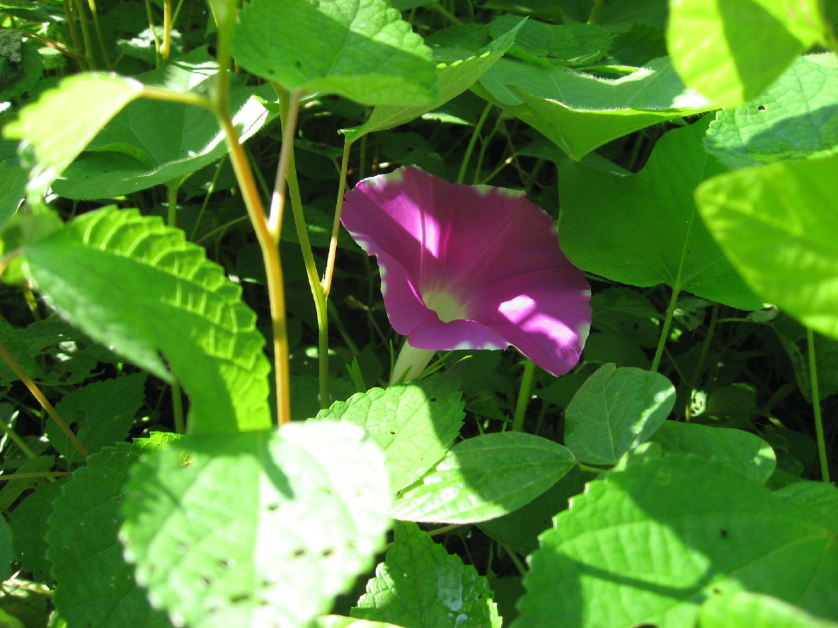 f0089352_20114873.jpg
