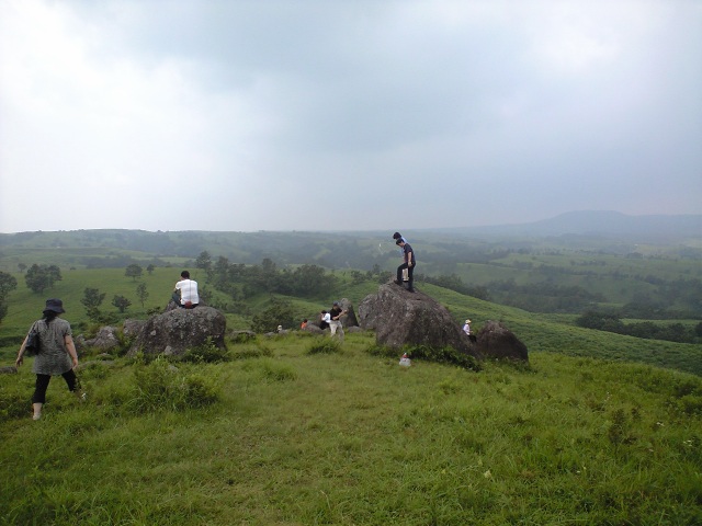 b0002156_2335478.jpg