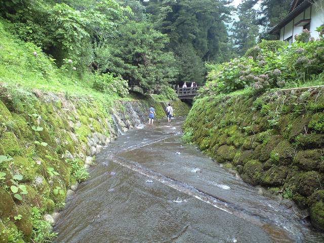 b0002156_23455779.jpg