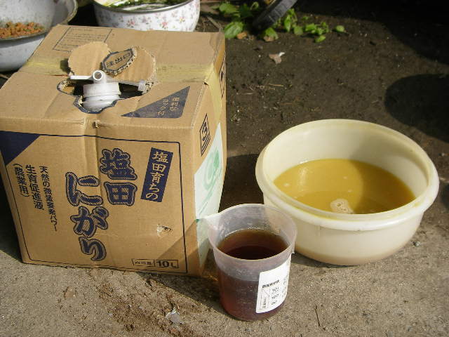 e0181260_108441.jpg