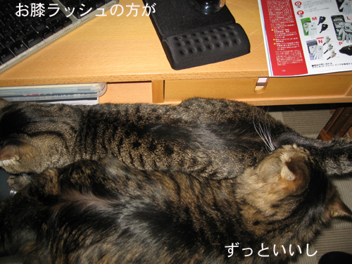 e0057361_1551618.jpg