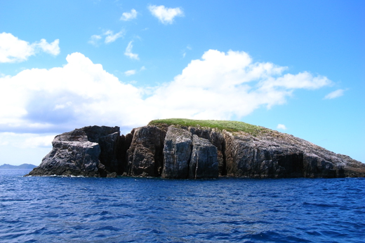 b0062363_19364935.jpg