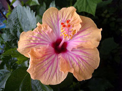b0101263_12564759.jpg