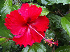 b0101263_12574451.jpg