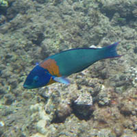b0165964_21495466.jpg
