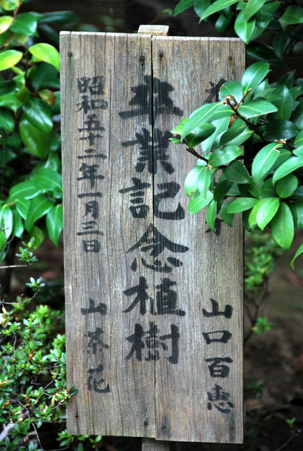 b0174068_0213599.jpg