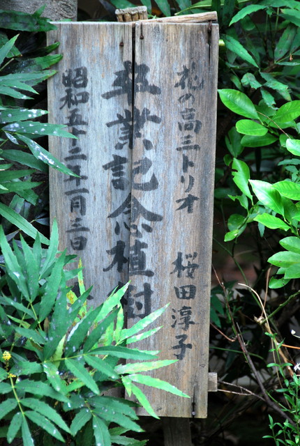 b0174068_0215856.jpg