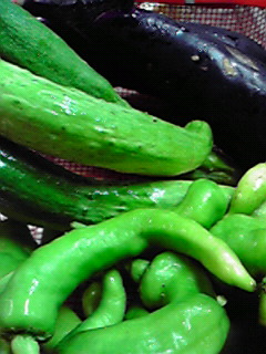 c0144868_0402786.jpg