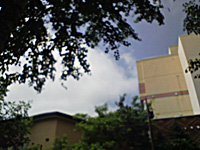 a0050669_0534941.jpg