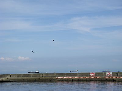 e0143671_11413812.jpg