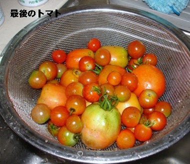 f0003174_16444347.jpg