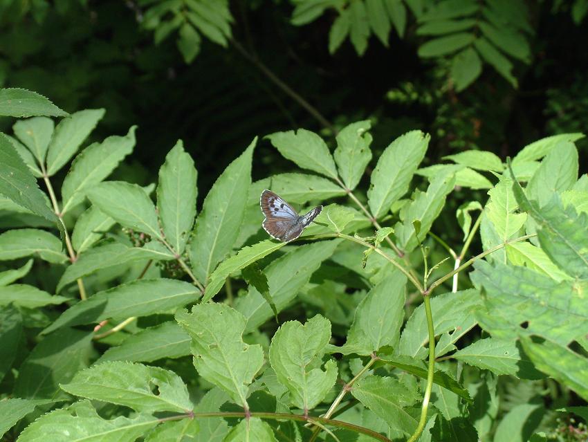 e0188677_1628384.jpg