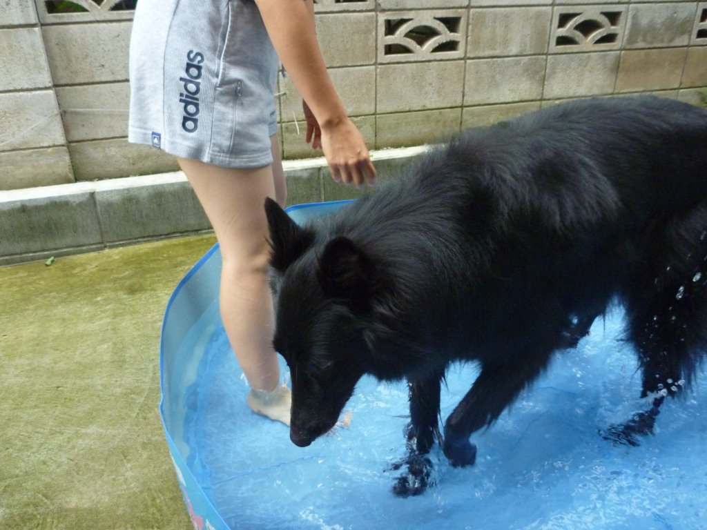 c0052779_20244742.jpg