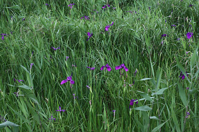 c0152779_2226448.jpg