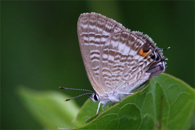c0152779_233646.jpg