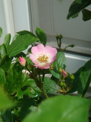 e0024385_2125371.jpg