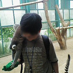 c0014187_22542398.jpg