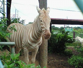 c0014187_23112799.jpg