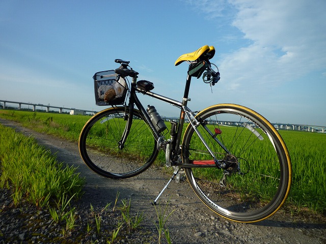 a0118289_8393267.jpg