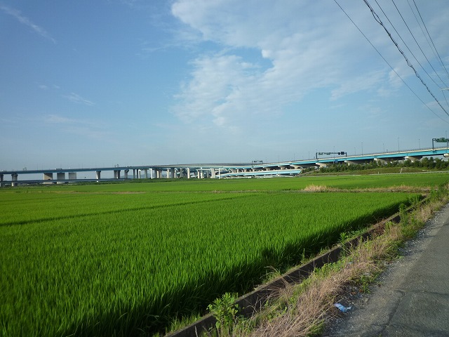 a0118289_842175.jpg