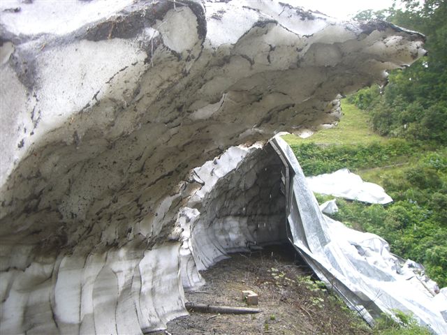 b0099190_23255976.jpg