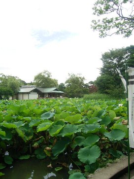 f0165392_9465673.jpg