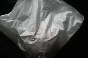 c0033994_8162828.jpg