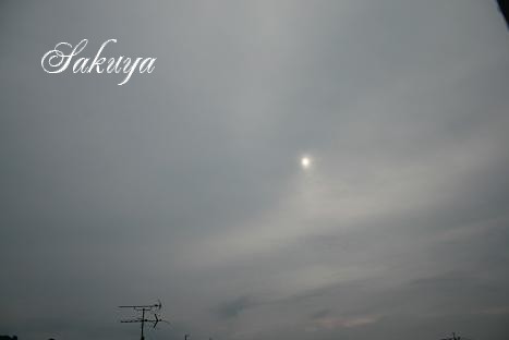 e0122194_1223068.jpg